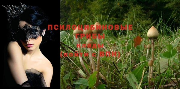 прущий лед Володарск