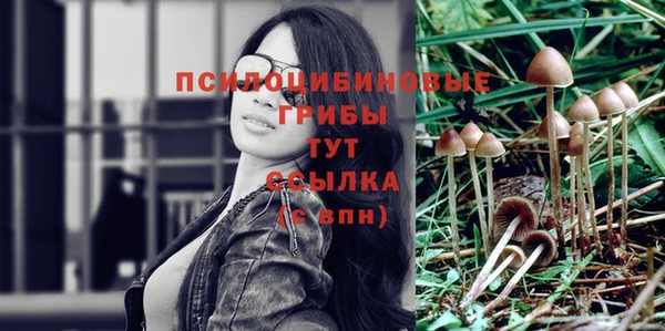 прущий лед Володарск