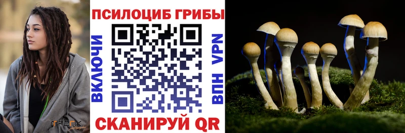 Купить закладки  Богучар  Галлюциногенные грибы ЛСД 